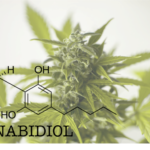 cannabis medicinal no manejo da síndrome pós-COVID-19